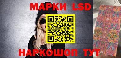 стаф Бердск
