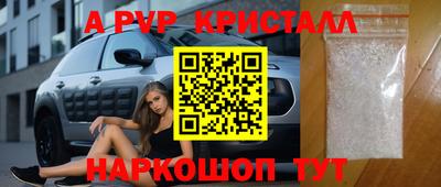 стаф Бердск