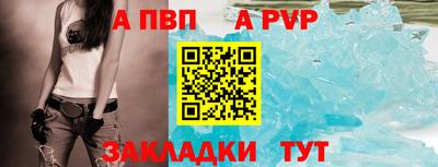 стаф Бердск