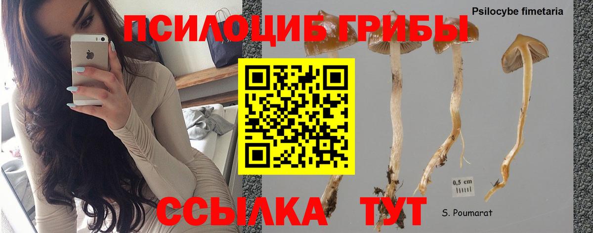 Псилоцибиновые грибы прущие грибы  Вход с VPN  цена наркотик  Барнаул  Галлюциногенные грибы мухоморы 