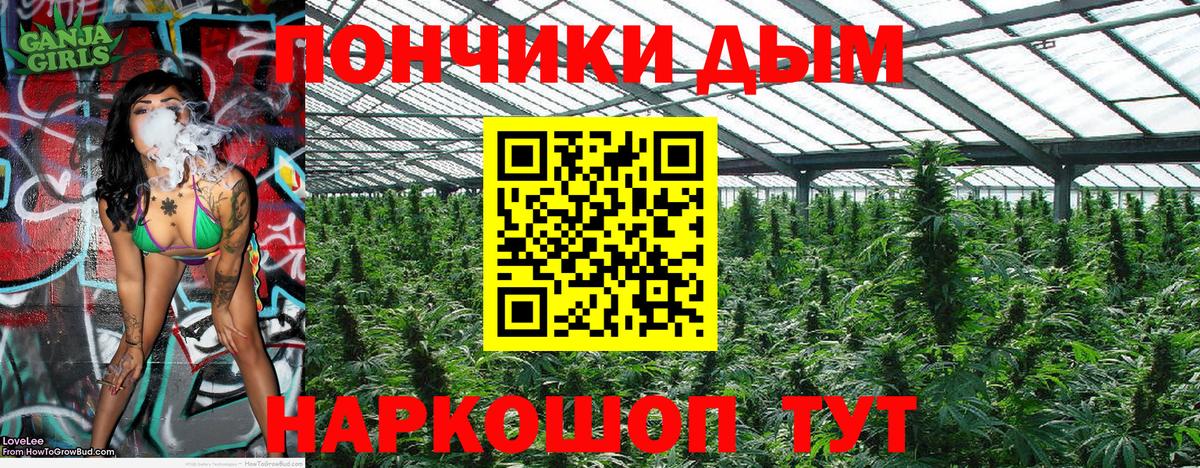 Канабис AK-47  Канабис Bruce Banner  Марихуана план  Барнаул  Вход с VPN  Канабис планчик 